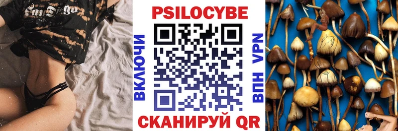 Псилоцибиновые грибы Psilocybine cubensis  Павловская 